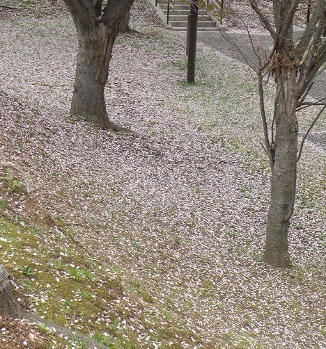 DSCN8173.JPG
